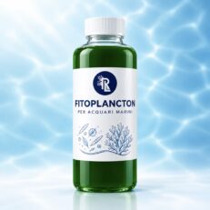 Fitoplancton e zooplancton
