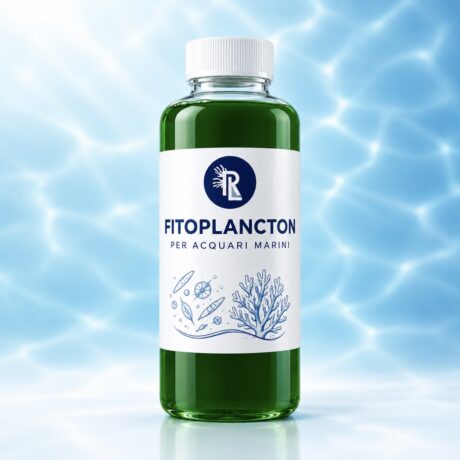 Fitoplancton