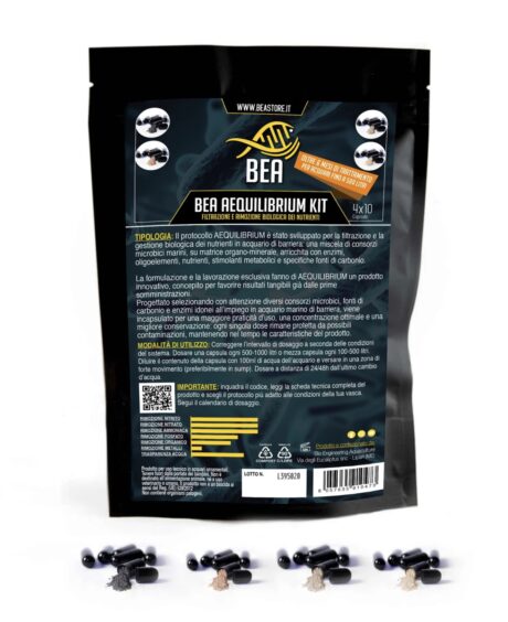BEA Aequilibrium Kit