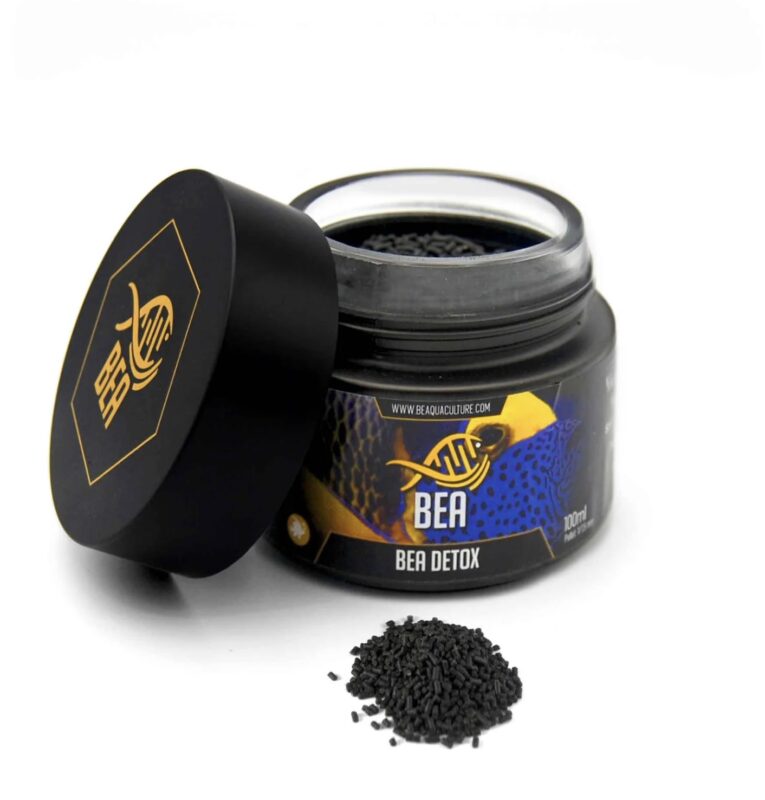Bea Detox