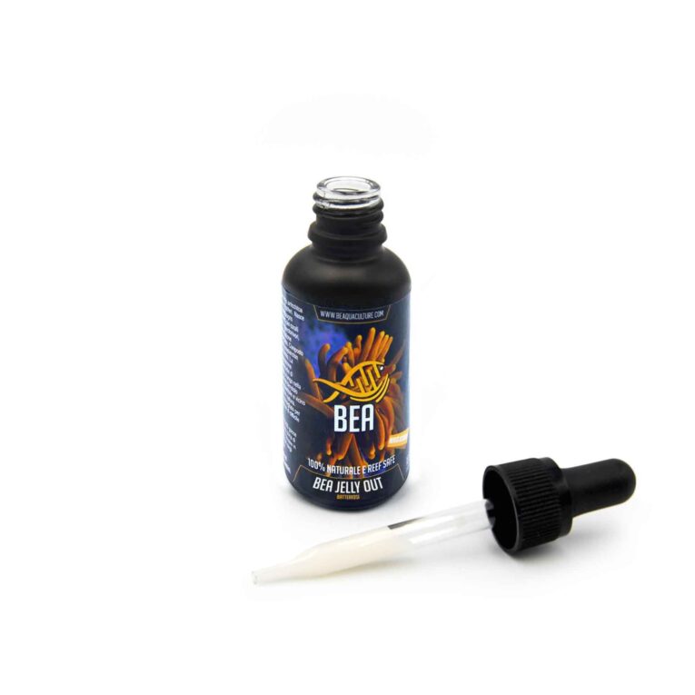 BEA-Jelly-Out-Aperto_afe2d570-d01c-4922-aeab-21e66efd6f6c