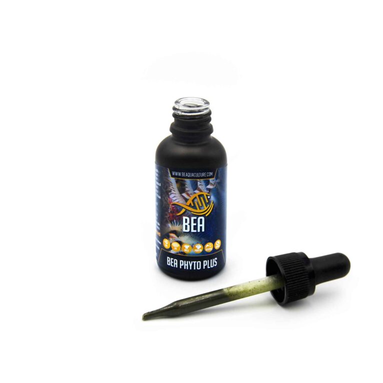 BEA-Phyto-Plus-Aperto