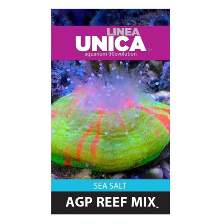 UNC-33819